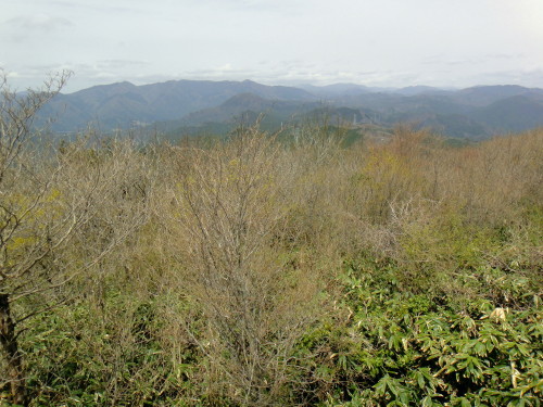 c0179351_1194843.jpg