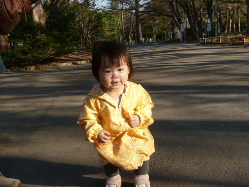 a0193457_20575436.gif