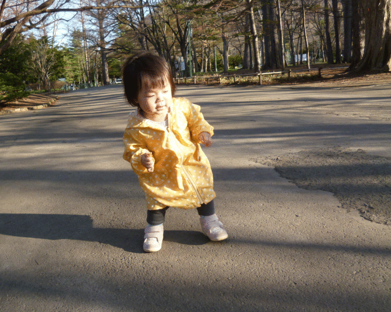 a0193457_20583018.gif