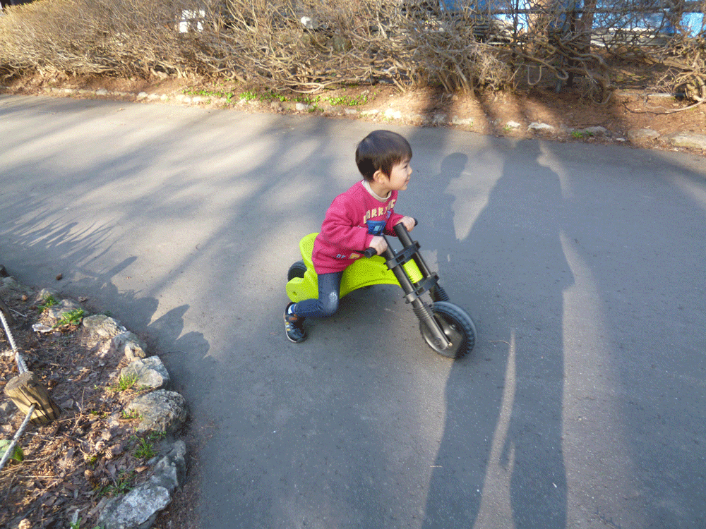 a0193457_2115959.gif