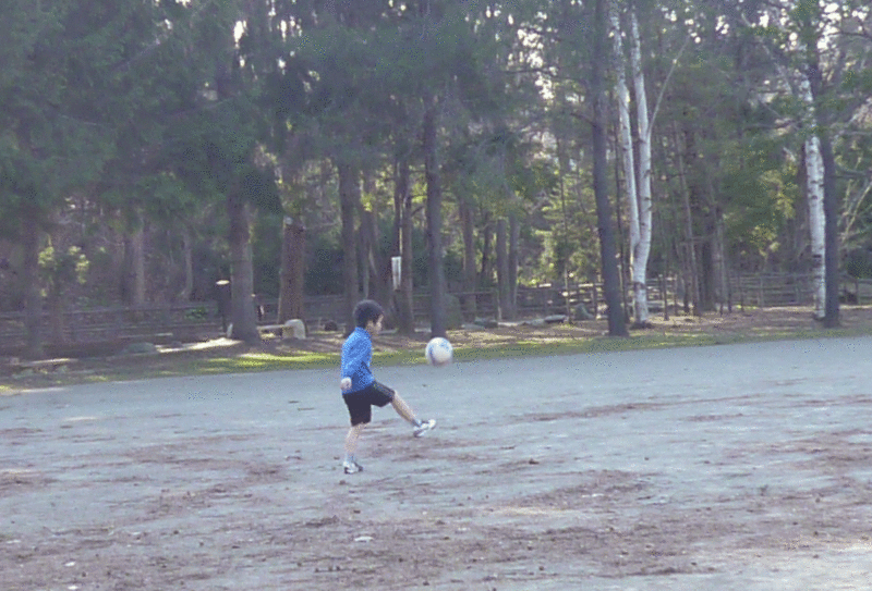 a0193457_2123299.gif
