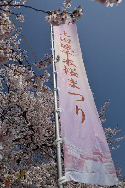 f0065768_22471073.jpg