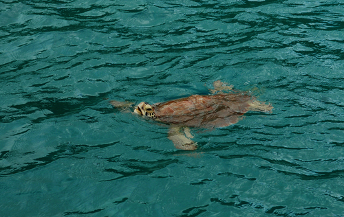 c0194469_945615.jpg