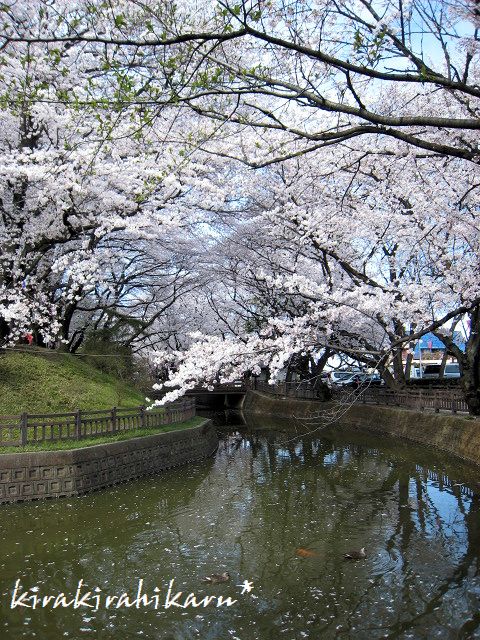 e0173670_8175330.jpg