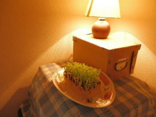 f0204072_7433662.jpg