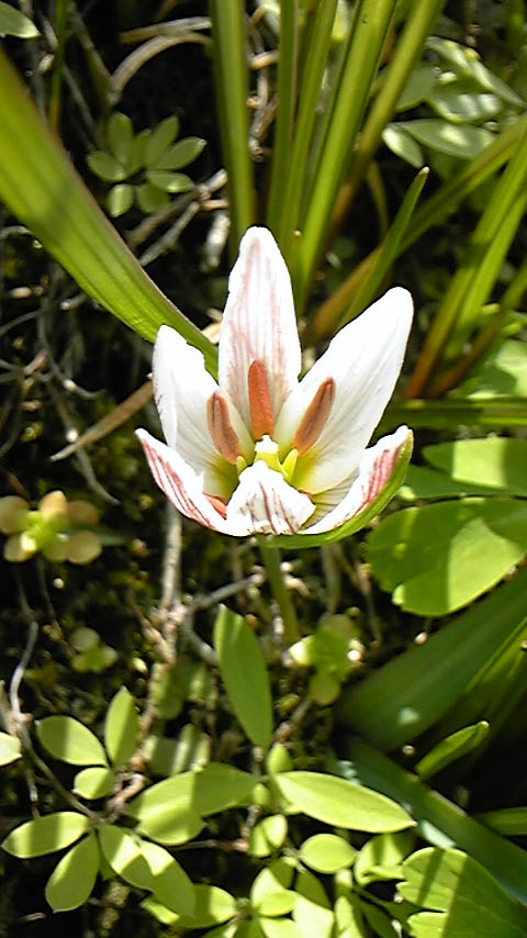 e0118274_10292541.jpg