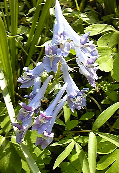 e0118274_1038329.jpg
