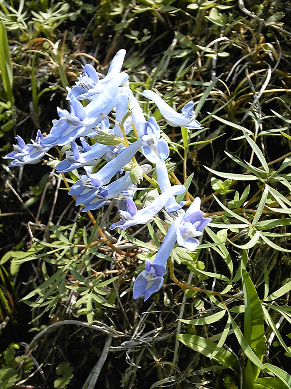 e0118274_10483317.jpg
