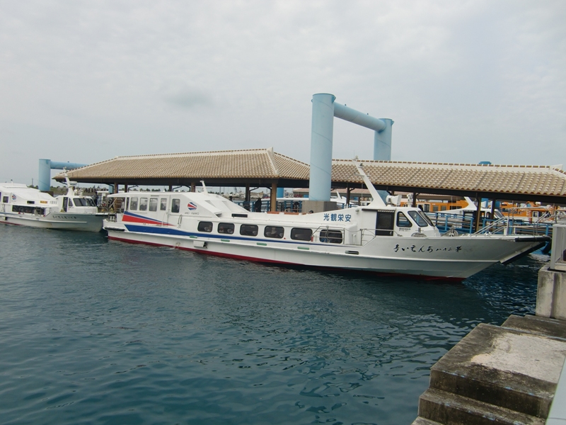 f0238779_8114527.jpg