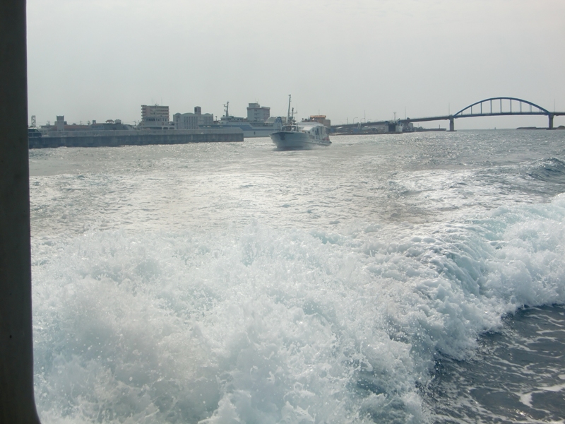 f0238779_8122132.jpg