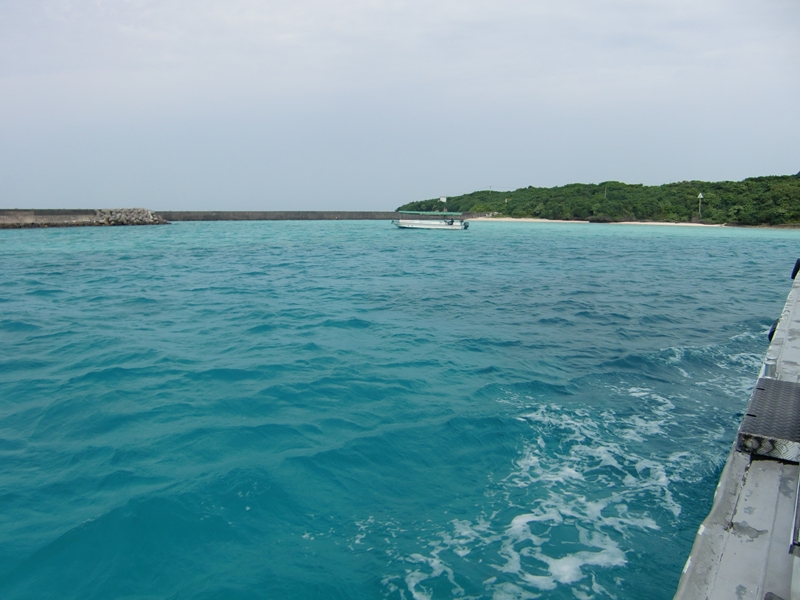 f0238779_8145388.jpg