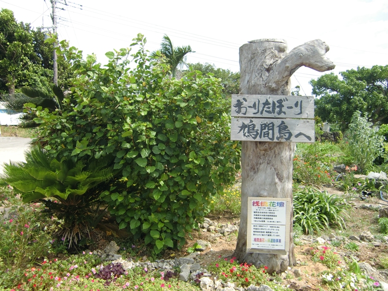 f0238779_81623.jpg