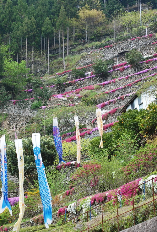 d0179983_1372378.jpg