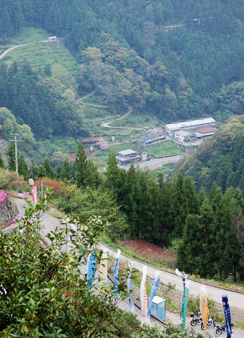 d0179983_1402471.jpg