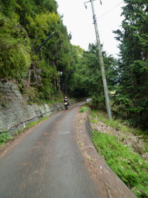 d0179983_1403044.jpg