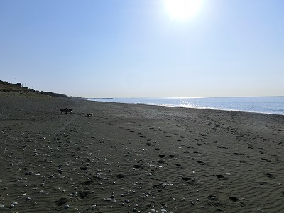 e0123587_20341619.jpg