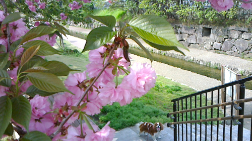 a0079292_1121784.jpg
