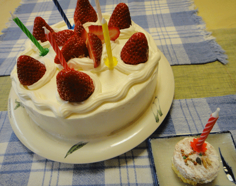 b0240299_1643937.gif