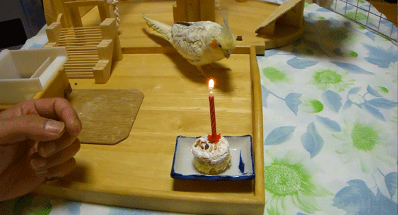 b0240299_16575444.gif