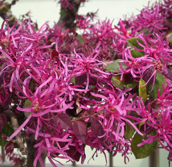 a0031000_234519.jpg