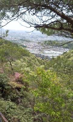 f0187402_1715365.jpg