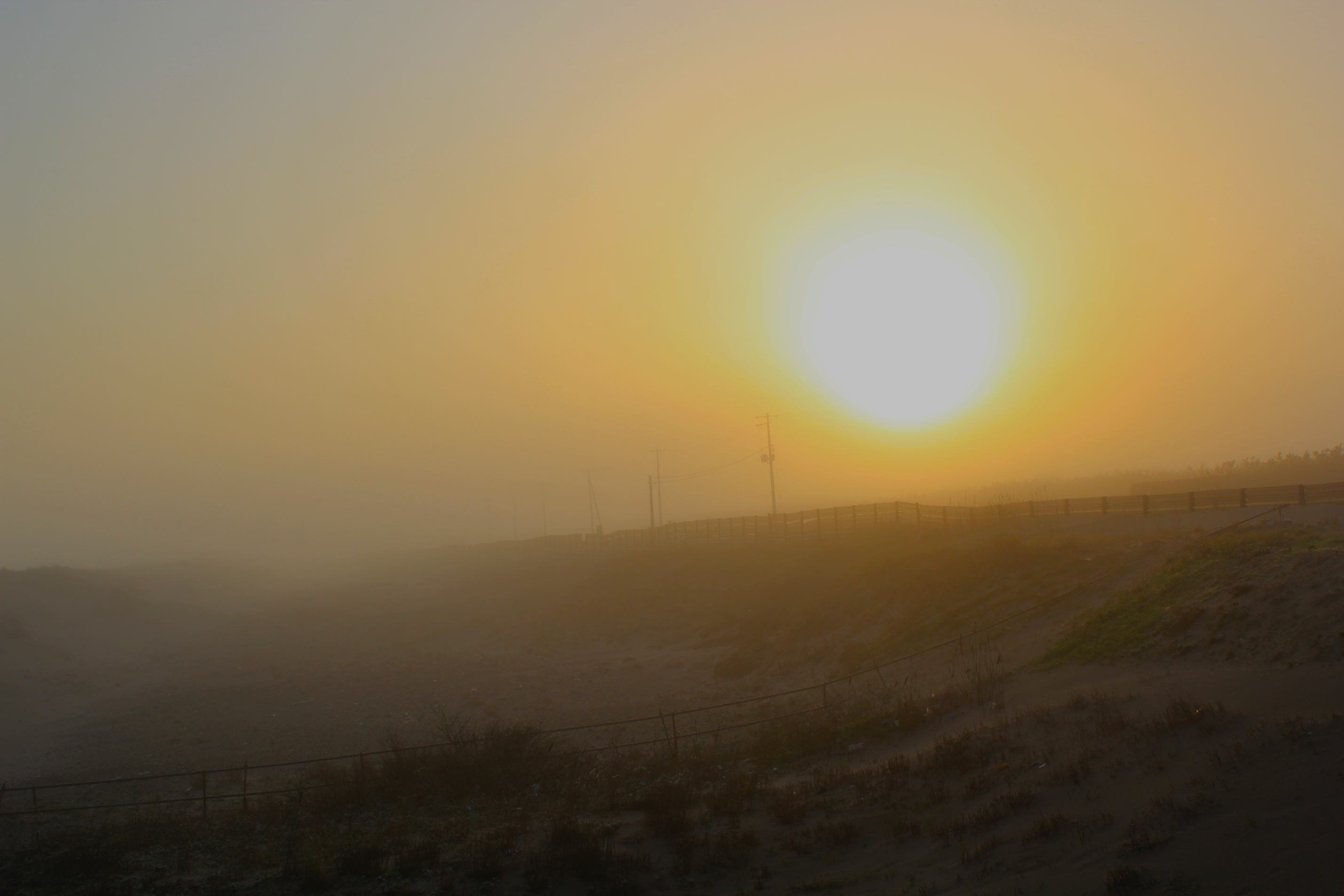 a0264604_7403945.jpg