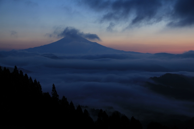 a0188405_21235636.jpg
