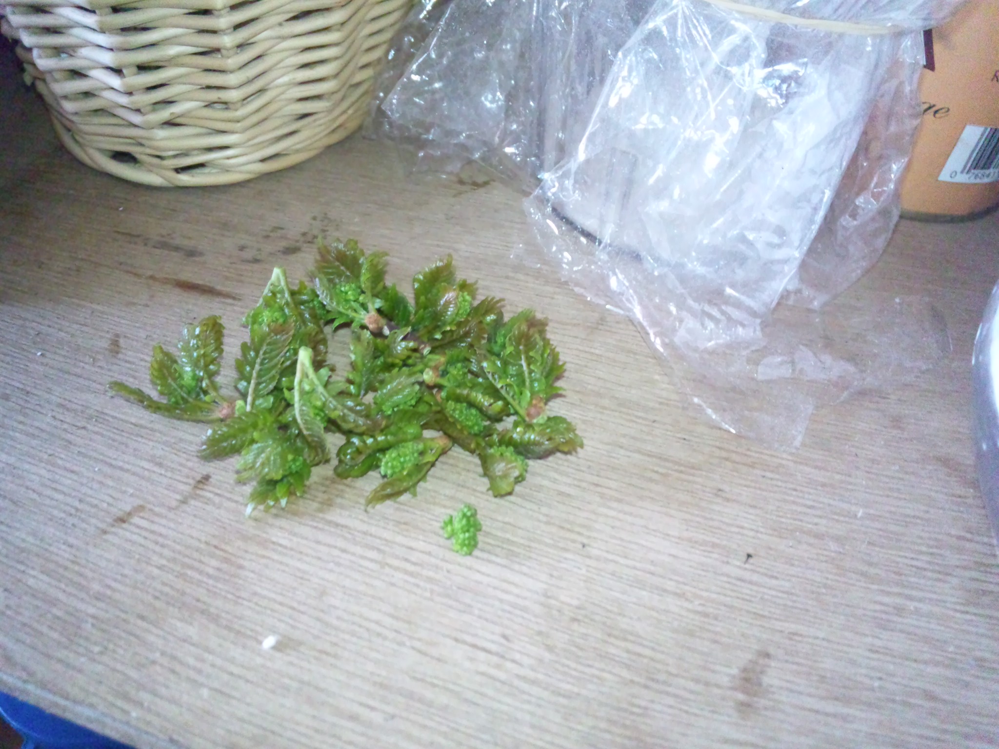 c0126205_106991.jpg