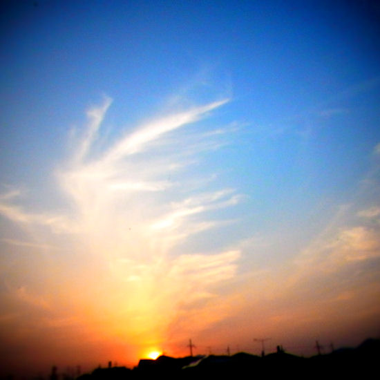 d0181907_821126.jpg