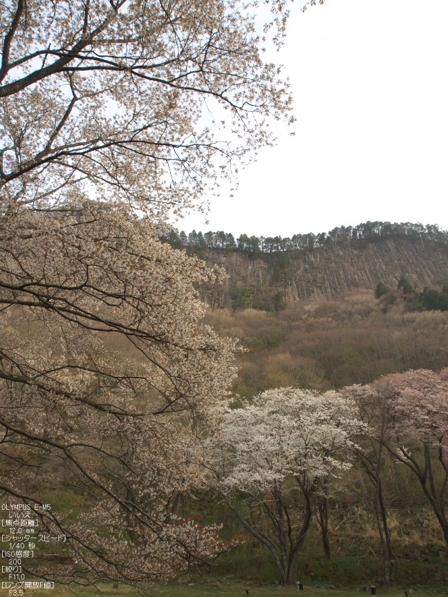 f0221510_19355664.jpg