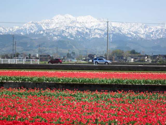 a0026413_2023405.jpg