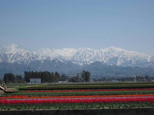 a0026413_20243364.jpg