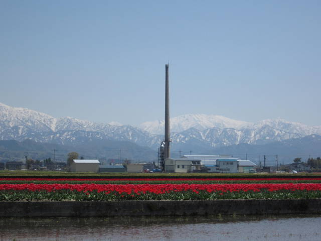 a0026413_2024493.jpg