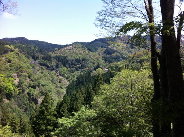f0100920_123396.jpg
