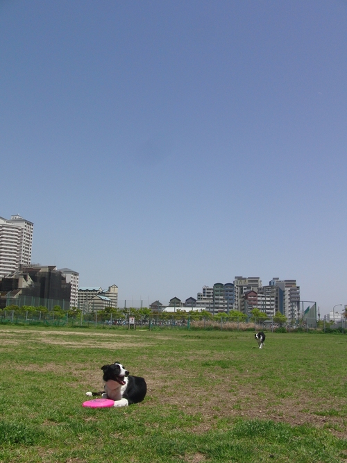 e0179321_15362839.jpg