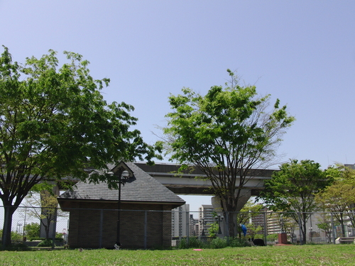 e0179321_15365945.jpg