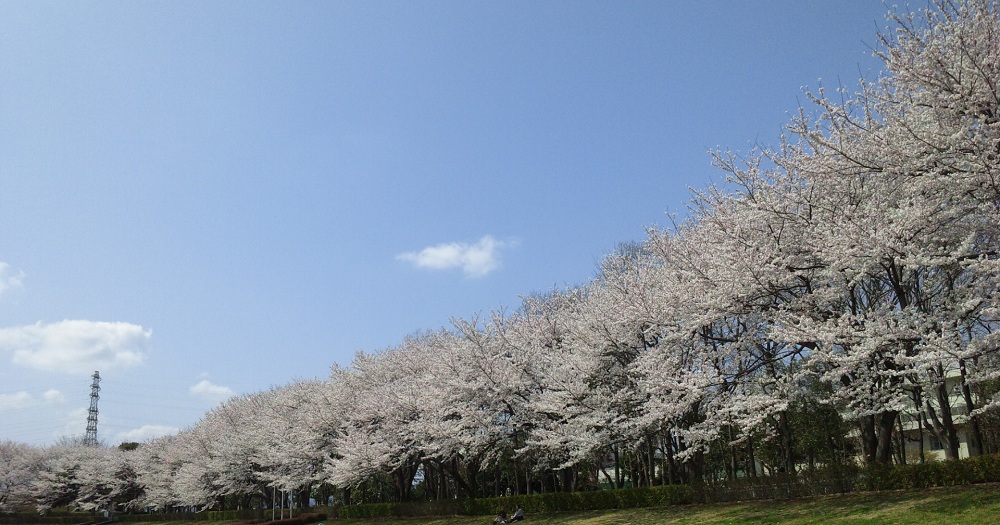 b0199924_111237100.jpg
