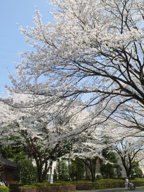 b0199924_11124775.jpg