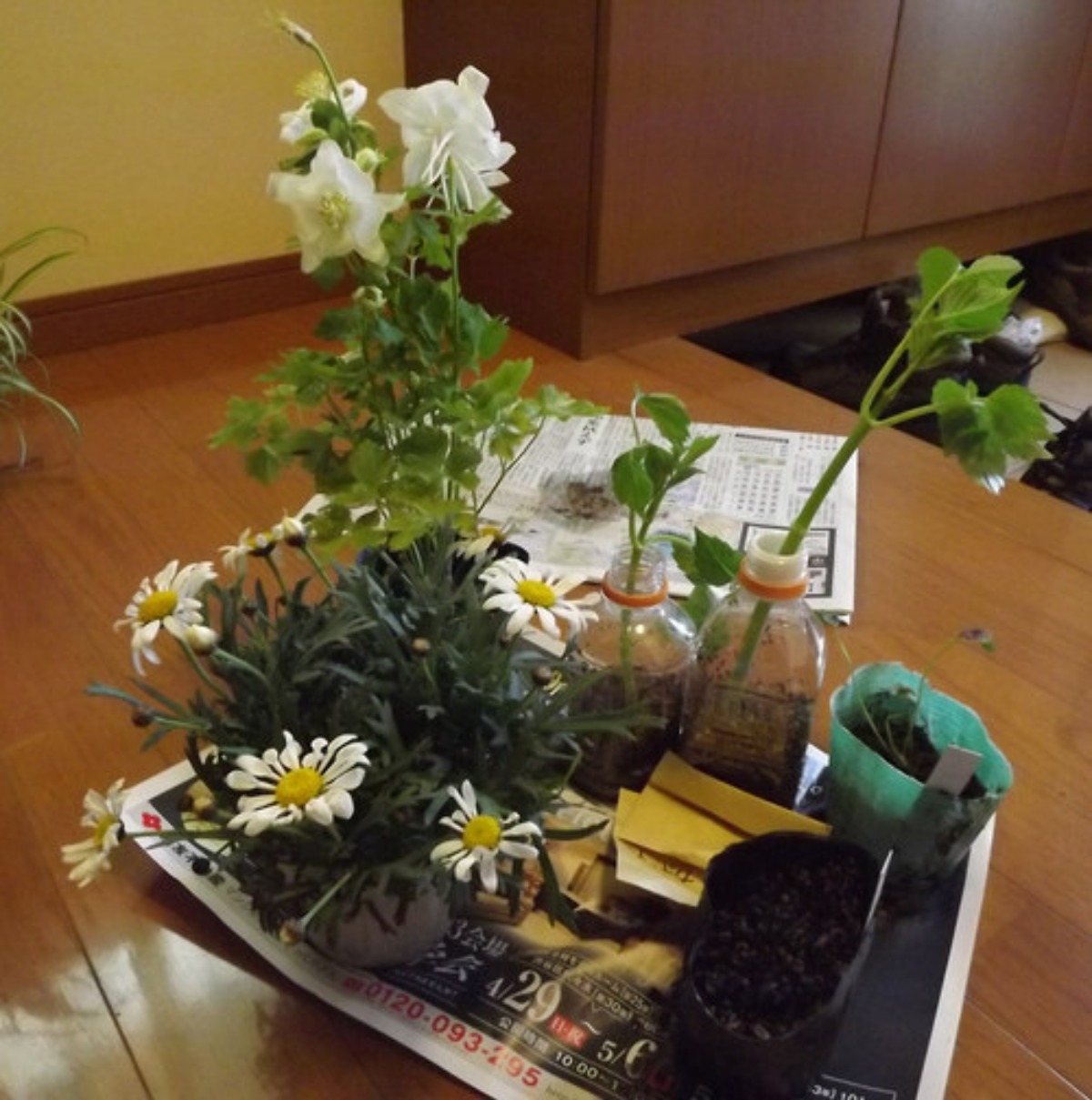 e0033229_21173691.jpg