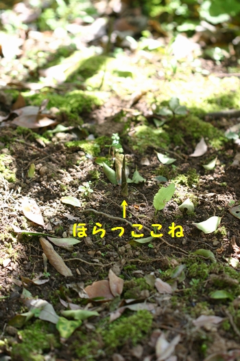 c0134734_1915884.jpg