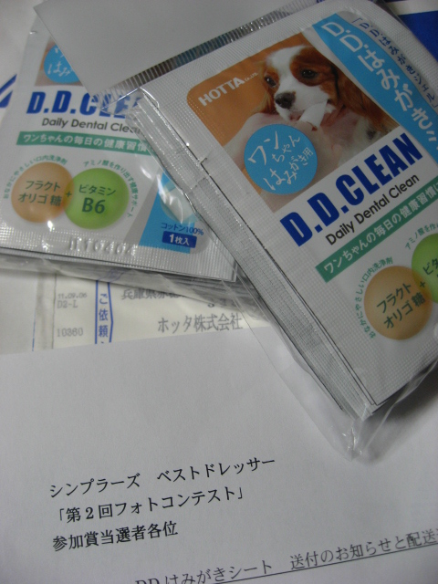 a0158344_2155726.jpg