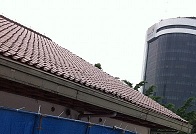 a0087146_1356119.jpg