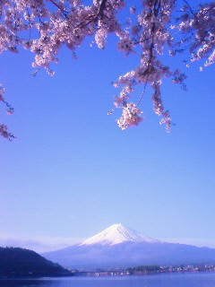 c0124646_17395746.jpg