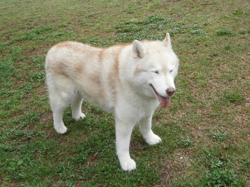 e0121548_2321423.jpg