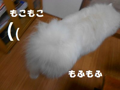 d0033151_19241740.jpg