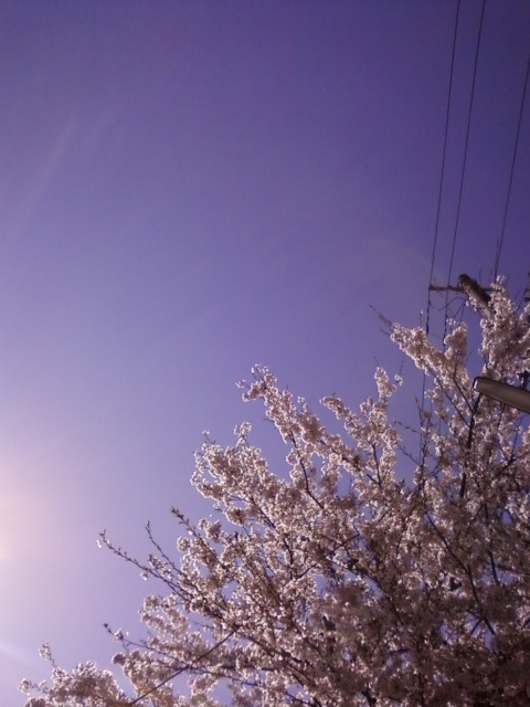 c0133653_8162031.jpg