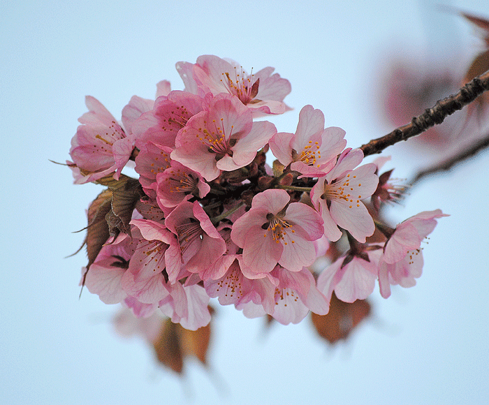 a0001354_22122927.gif
