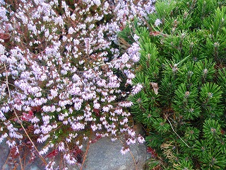 e0004756_21255695.jpg