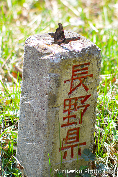 e0166059_2305153.jpg