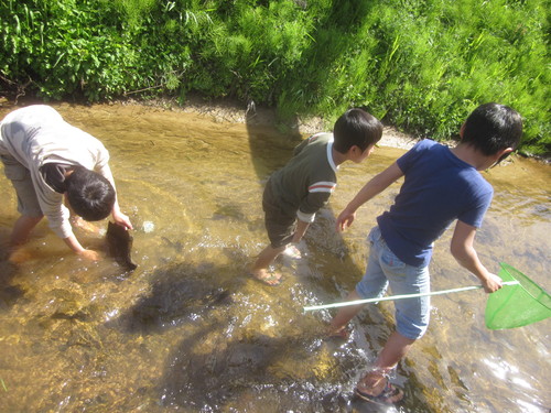 c0223463_104395.jpg